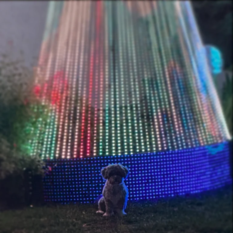 Chief Cheer Officer Edith reporting for final duty 🐾✨
One last light check, one last glow of the season.

If you’ve been meaning to come by… tonight’s your night. 💛